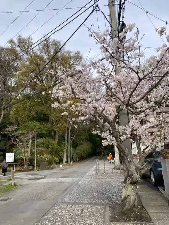 妙本寺(神奈川県)