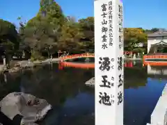 富士山本宮浅間大社の自然