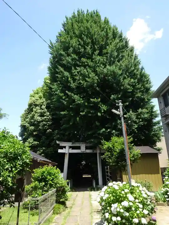 一山神社(埼玉県)