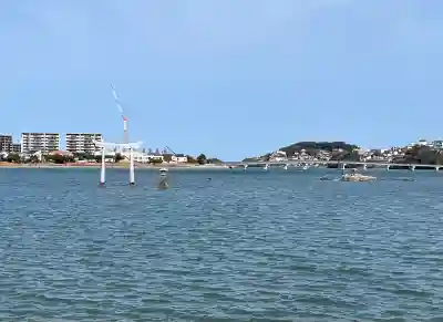 御島神社の{uncategorized: "未分類", other: "その他", undefined: "問題あり", building: "その他建物", grave: "お墓", sacred_gate: "鳥居", guardian: "狛犬", statue: "像", buddha: "仏像", history: "歴史", nature: "自然", garden: "庭園", animal: "動物", pagoda: "塔", temizu: "手水舎", mountain_gate: "山門・神門", sanctuary: "本殿・本堂", subordinate: "末社・摂社", art: "芸術", scenery: "景色", jizo: "地蔵", ema: "絵馬", goshuin: "御朱印", omikuji: "おみくじ", items: "授与品その他", amulet: "お守り", goshuincho: "御朱印帳", eats: "食事", festival: "お祭り", votive_dance: "神楽", shichigosan: "七五三参", wedding: "結婚式", experience: "体験その他", initially: "初詣", around: "周辺", anti_infection: "感染症対策"}