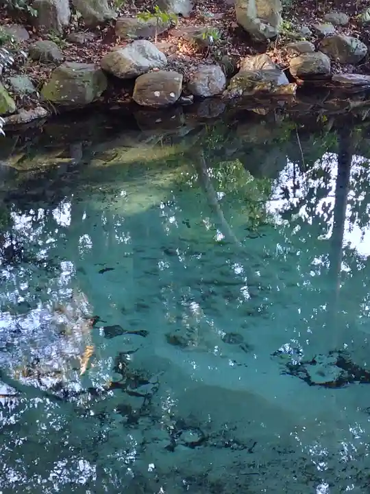 泉神社(茨城県)
