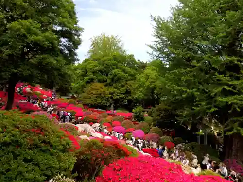 根津神社の庭園