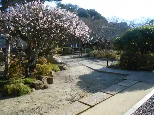 極楽寺（霊鷲山感應院極楽律寺）の景色