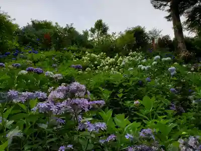 鷲子山上神社(栃木県)