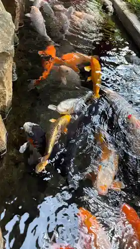 秩父神社(埼玉県)