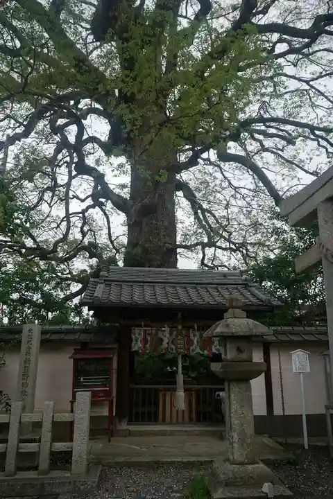 新熊野神社の山門・神門