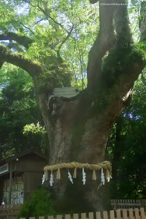 熱田神宮(愛知県)