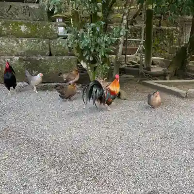 石上神宮(奈良県)