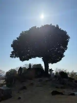 万徳寺(群馬県)