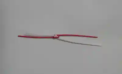 羽衣町厳島神社（関内厳島神社・横浜弁天）の授与品その他