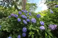 開成山大神宮の庭園