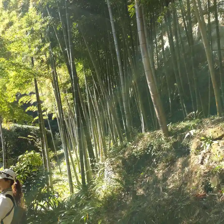 長壽寺(長寿寺)(神奈川県)