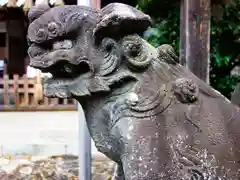 新羽杉山神社の狛犬