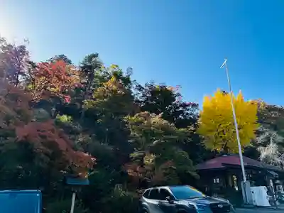 宝登山神社(埼玉県)