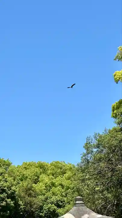 橿原神宮(奈良県)