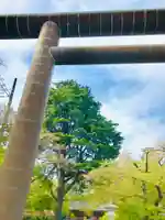 大宝八幡宮の鳥居