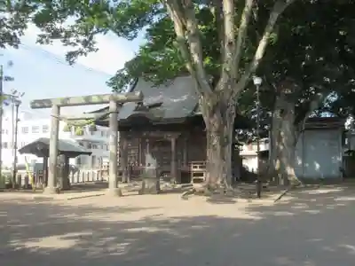 須賀神社の本殿・本堂