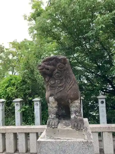 蛭子神社の狛犬