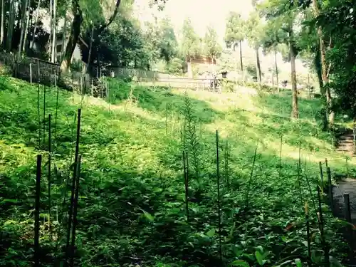 大神神社の庭園