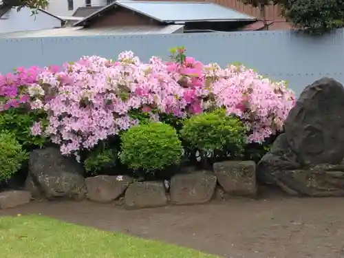 理境院(東京都)