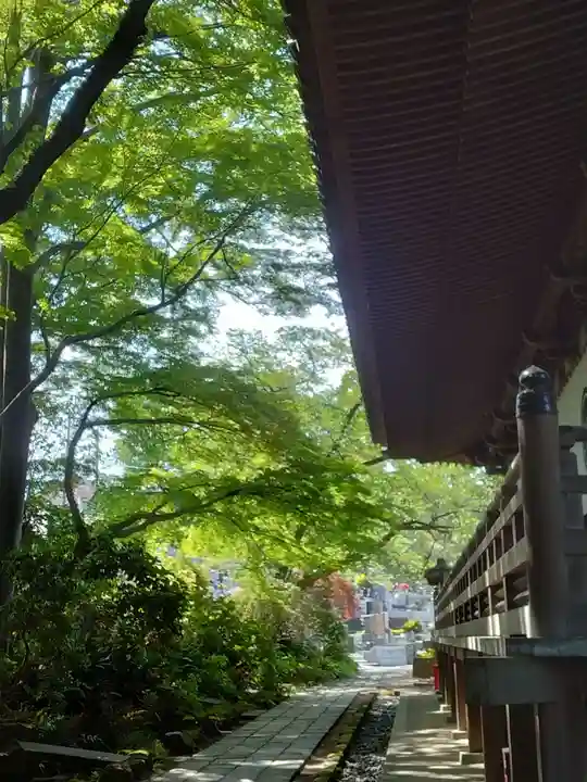 高幡不動尊 金剛寺(東京都)