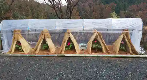 如意輪寺(市原観音)の庭園