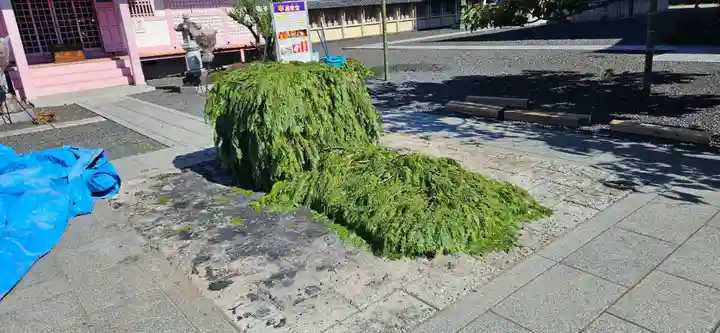 津観音(三重県)