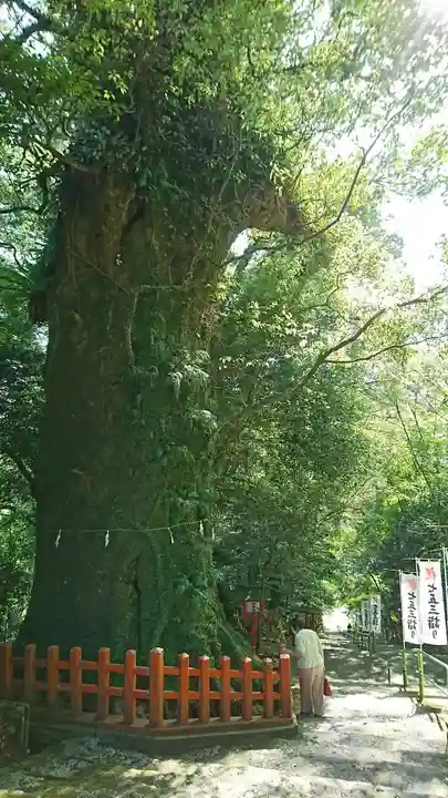 新田神社の自然