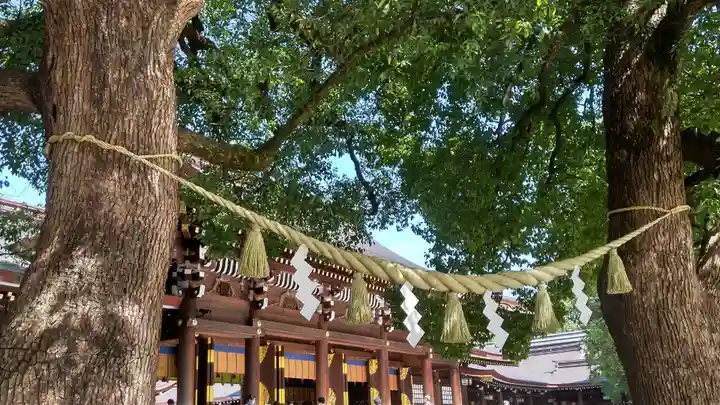 明治神宮の自然