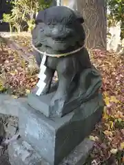 細山神明社の狛犬