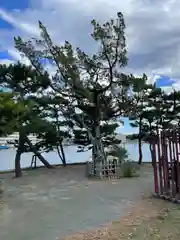 琵琶島神社(神奈川県)