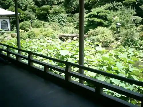 光明寺の庭園