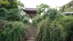 海蔵寺の自然