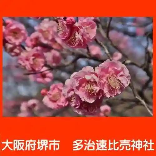 多治速比売神社の自然