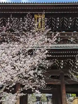 くろ谷 金戒光明寺(京都府)