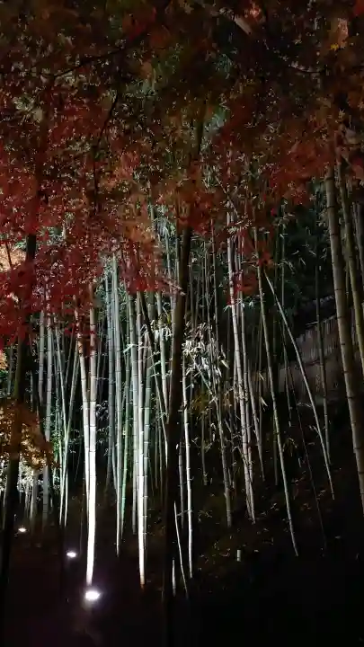 北野天満宮の{uncategorized: "未分類", other: "その他", undefined: "問題あり", building: "その他建物", grave: "お墓", sacred_gate: "鳥居", guardian: "狛犬", statue: "像", buddha: "仏像", history: "歴史", nature: "自然", garden: "庭園", animal: "動物", pagoda: "塔", temizu: "手水舎", mountain_gate: "山門・神門", sanctuary: "本殿・本堂", subordinate: "末社・摂社", art: "芸術", scenery: "景色", jizo: "地蔵", ema: "絵馬", goshuin: "御朱印", omikuji: "おみくじ", items: "授与品その他", amulet: "お守り", goshuincho: "御朱印帳", eats: "食事", festival: "お祭り", votive_dance: "神楽", shichigosan: "七五三参", wedding: "結婚式", experience: "体験その他", initially: "初詣", around: "周辺", anti_infection: "感染症対策"}