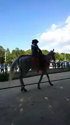 苗村神社のお祭り