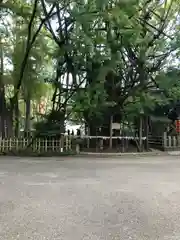 稲毛神社(神奈川県)