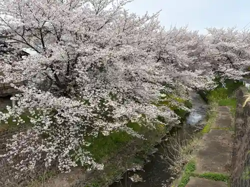 瀧宮神社(埼玉県)