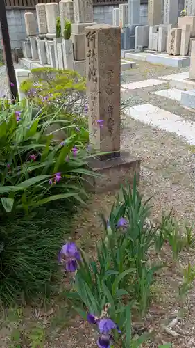 専念寺(大阪府)