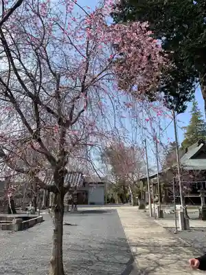 賀茂別雷神社のその他建物