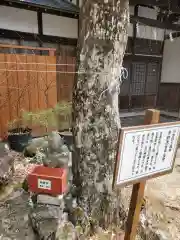 日光二荒山神社中宮祠の像