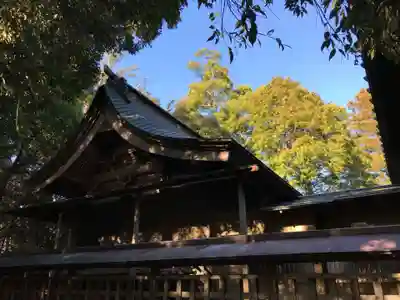 熊野神社の本殿・本堂