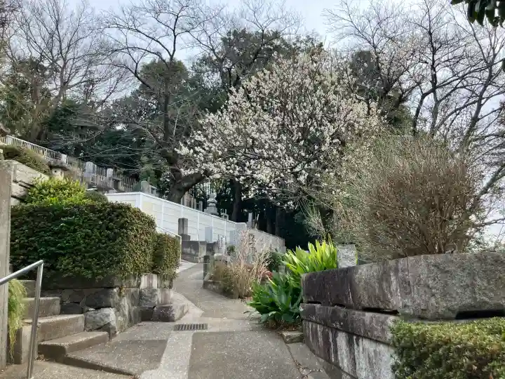 正観寺の{uncategorized: "未分類", other: "その他", undefined: "問題あり", building: "その他建物", grave: "お墓", sacred_gate: "鳥居", guardian: "狛犬", statue: "像", buddha: "仏像", history: "歴史", nature: "自然", garden: "庭園", animal: "動物", pagoda: "塔", temizu: "手水舎", mountain_gate: "山門・神門", sanctuary: "本殿・本堂", subordinate: "末社・摂社", art: "芸術", scenery: "景色", jizo: "地蔵", ema: "絵馬", goshuin: "御朱印", omikuji: "おみくじ", items: "授与品その他", amulet: "お守り", goshuincho: "御朱印帳", eats: "食事", festival: "お祭り", votive_dance: "神楽", shichigosan: "七五三参", wedding: "結婚式", experience: "体験その他", initially: "初詣", around: "周辺", anti_infection: "感染症対策"}