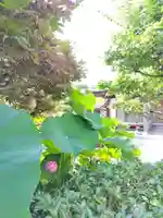 梅香寺(三重県)