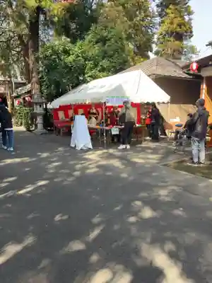 備後須賀稲荷神社(埼玉県)