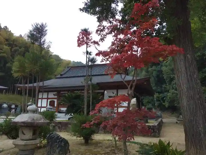 宝厳寺(愛媛県)
