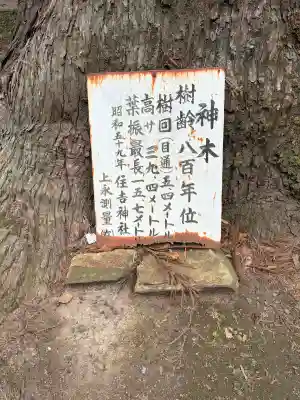 住吉神社の{uncategorized: "未分類", other: "その他", undefined: "問題あり", building: "その他建物", grave: "お墓", sacred_gate: "鳥居", guardian: "狛犬", statue: "像", buddha: "仏像", history: "歴史", nature: "自然", garden: "庭園", animal: "動物", pagoda: "塔", temizu: "手水舎", mountain_gate: "山門・神門", sanctuary: "本殿・本堂", subordinate: "末社・摂社", art: "芸術", scenery: "景色", jizo: "地蔵", ema: "絵馬", goshuin: "御朱印", omikuji: "おみくじ", items: "授与品その他", amulet: "お守り", goshuincho: "御朱印帳", eats: "食事", festival: "お祭り", votive_dance: "神楽", shichigosan: "七五三参", wedding: "結婚式", experience: "体験その他", initially: "初詣", around: "周辺", anti_infection: "感染症対策"}