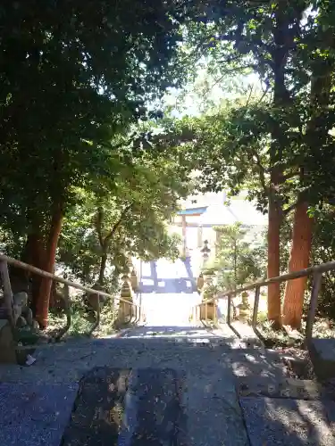 八宮神社（越畑）の{uncategorized: "未分類", other: "その他", undefined: "問題あり", building: "その他建物", grave: "お墓", sacred_gate: "鳥居", guardian: "狛犬", statue: "像", buddha: "仏像", history: "歴史", nature: "自然", garden: "庭園", animal: "動物", pagoda: "塔", temizu: "手水舎", mountain_gate: "山門・神門", sanctuary: "本殿・本堂", subordinate: "末社・摂社", art: "芸術", scenery: "景色", jizo: "地蔵", ema: "絵馬", goshuin: "御朱印", omikuji: "おみくじ", items: "授与品その他", amulet: "お守り", goshuincho: "御朱印帳", eats: "食事", festival: "お祭り", votive_dance: "神楽", shichigosan: "七五三参", wedding: "結婚式", experience: "体験その他", initially: "初詣", around: "周辺", anti_infection: "感染症対策"}