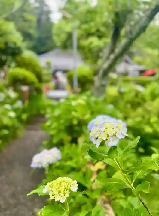 極楽寺(静岡県)